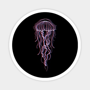 jellyfish Magnet